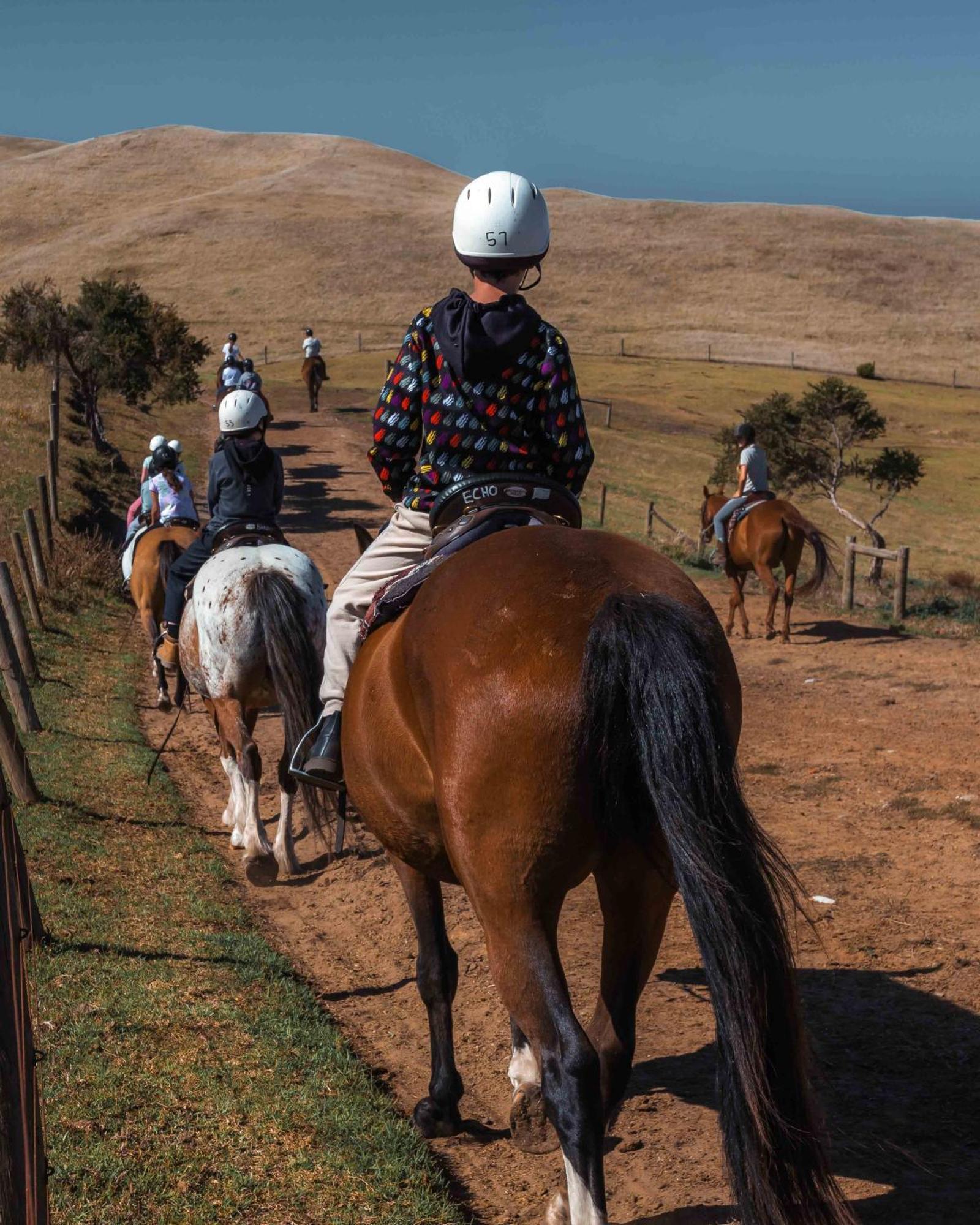 فيلا The Ranch Mornington Peninsula Boneo المظهر الخارجي الصورة